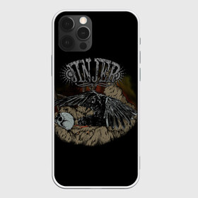 Чехол для iPhone 12 Pro Max с принтом Jinjer metal band в Екатеринбурге, Силикон |  | jinjer | meialcore | metal | rock | ворон | метал | рок | череп