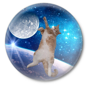 Значок с принтом Кисулькин в космосе в Екатеринбурге,  металл | круглая форма, металлическая застежка в виде булавки | астроном пушистый | барсик | звезды | космос | котики | коты