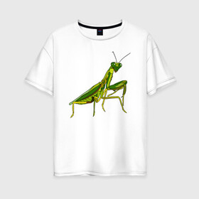 Женская футболка хлопок Oversize с принтом Богомол в Екатеринбурге, 100% хлопок | свободный крой, круглый ворот, спущенный рукав, длина до линии бедер
 | animals | insect | mantis | nature | summer | богомол | весна | дикие | животные | жуки | звери | зеленый богомол | клещни | комары | кузнечики | лапки | лето | мухи | насекомое | природа | самка | стрекоза | существа | усики