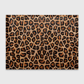 Обложка для студенческого билета с принтом Шкура Леопарда в Екатеринбурге, натуральная кожа | Размер: 11*8 см; Печать на всей внешней стороне | Тематика изображения на принте: leopard | skin | wool | кожа | леопард