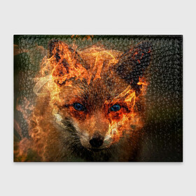 Обложка для студенческого билета с принтом Огненная лиса в Екатеринбурге, натуральная кожа | Размер: 11*8 см; Печать на всей внешней стороне | Тематика изображения на принте: fox | foxy | животное | звери | лиса | лисенок | лисичка | милая | рыжая | фокс