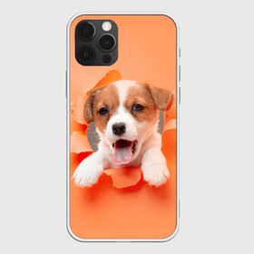 Чехол для iPhone 12 Pro с принтом Собака в Екатеринбурге, силикон | область печати: задняя сторона чехла, без боковых панелей | dog | барбос | дворняга | друг человека | пёс | псина | собака | собачка | собачонка | четвероногий друг | шарик | щенок