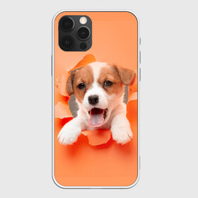Чехол для iPhone 12 Pro Max с принтом Собака в Екатеринбурге, Силикон |  | dog | барбос | дворняга | друг человека | пёс | псина | собака | собачка | собачонка | четвероногий друг | шарик | щенок