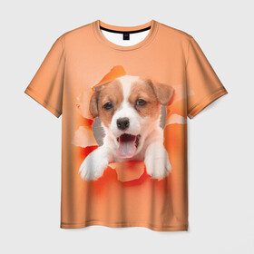 Мужская футболка 3D с принтом Собака в Екатеринбурге, 100% полиэфир | прямой крой, круглый вырез горловины, длина до линии бедер | dog | барбос | дворняга | друг человека | пёс | псина | собака | собачка | собачонка | четвероногий друг | шарик | щенок