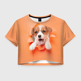 Женская футболка Crop-top 3D с принтом Собака в Екатеринбурге, 100% полиэстер | круглая горловина, длина футболки до линии талии, рукава с отворотами | dog | барбос | дворняга | друг человека | пёс | псина | собака | собачка | собачонка | четвероногий друг | шарик | щенок