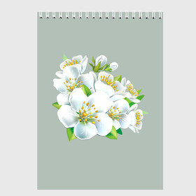 Скетчбук с принтом Весна в Екатеринбурге, 100% бумага
 | 48 листов, плотность листов — 100 г/м2, плотность картонной обложки — 250 г/м2. Листы скреплены сверху удобной пружинной спиралью | лепестки | распустились | цветение | цветы | яблоня