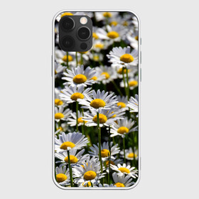 Чехол для iPhone 12 Pro Max с принтом Ромашки в Екатеринбурге, Силикон |  | Тематика изображения на принте: поле | поля | природа | природный | растение | растения | ромашка | ромашки | цветочек | цветочки | цветочное | цветы