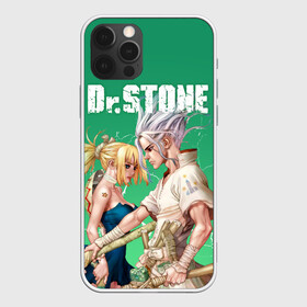 Чехол для iPhone 12 Pro с принтом Dr Stone в Екатеринбурге, силикон | область печати: задняя сторона чехла, без боковых панелей | dr. stone | kohaku | senku | taiju | доктор стоун | исигами сэнку | кохаку | сэнку | тайдзю | цукаса