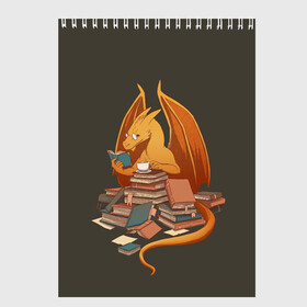 Скетчбук с принтом Book Dragon в Екатеринбурге, 100% бумага
 | 48 листов, плотность листов — 100 г/м2, плотность картонной обложки — 250 г/м2. Листы скреплены сверху удобной пружинной спиралью | book | books | dragon | knowledge | professor | study | tea | wyvern | виверна | дракон | знания | книга | книги | книжный | профессор | чай