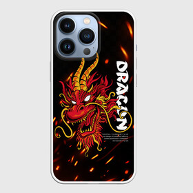 Чехол для iPhone 13 Pro с принтом Dragon Огненный дракон в Екатеринбурге,  |  | dragon | fire | дракон | китай | китайский огонь | костер | огонь