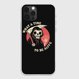 Чехол для iPhone 12 Pro Max с принтом Friendly Grim Reaper в Екатеринбурге, Силикон |  | a | alive | be | friendly | grrim | ok | reaper | time | to | what | дружелюбная | жнец | косой | ок | с | старуха