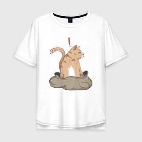 Мужская футболка хлопок Oversize с принтом Кот в мешке в Екатеринбурге, 100% хлопок | свободный крой, круглый ворот, “спинка” длиннее передней части | cat | кот в мешке | кот из мема | рыжий котик | удивленный кошак