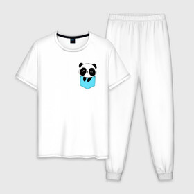 Мужская пижама хлопок с принтом Панда милашка в кармашке в Екатеринбурге, 100% хлопок | брюки и футболка прямого кроя, без карманов, на брюках мягкая резинка на поясе и по низу штанин
 | животное | карман | малышка | медведь | милашка