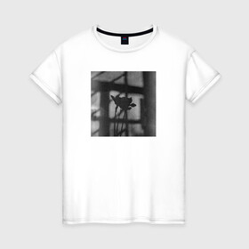 Женская футболка хлопок с принтом Нарциссы на фоне окна в Екатеринбурге, 100% хлопок | прямой крой, круглый вырез горловины, длина до линии бедер, слегка спущенное плечо | нарциссы | натюрморт | природа | цветы | чёрное и белое