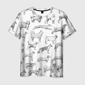 Мужская футболка 3D с принтом ПОРОДЫ СОБАК С ФОТОГРАФИЯМИ в Екатеринбурге, 100% полиэфир | прямой крой, круглый вырез горловины, длина до линии бедер | бассет | бигль | боксер | борзая | бульдог | далматинец | доберман | дог | колли | лабрадор | милая собака | милые собаки | мопс | овчарка | папийон | пекинес | порода | пудель | сеттер | собака | собаки