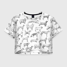 Женская футболка Crop-top 3D с принтом ПОРОДЫ СОБАК С ФОТОГРАФИЯМИ в Екатеринбурге, 100% полиэстер | круглая горловина, длина футболки до линии талии, рукава с отворотами | бассет | бигль | боксер | борзая | бульдог | далматинец | доберман | дог | колли | лабрадор | милая собака | милые собаки | мопс | овчарка | папийон | пекинес | порода | пудель | сеттер | собака | собаки