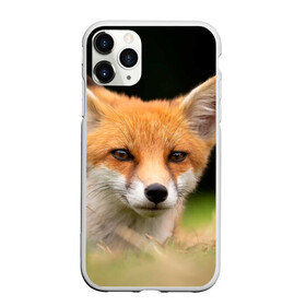 Чехол для iPhone 11 Pro Max матовый с принтом Мордочка лисицы в Екатеринбурге, Силикон |  | fox | foxy | животное | звери | лиса | лисенок | лисичка | милая | рыжая | фокс