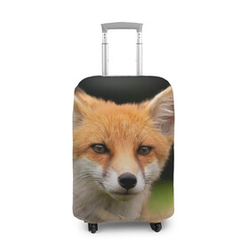 Чехол для чемодана 3D с принтом Мордочка лисицы в Екатеринбурге, 86% полиэфир, 14% спандекс | двустороннее нанесение принта, прорези для ручек и колес | fox | foxy | животное | звери | лиса | лисенок | лисичка | милая | рыжая | фокс