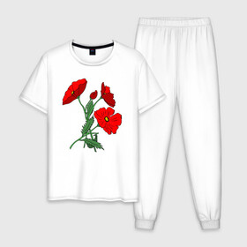 Мужская пижама хлопок с принтом Букет маковых цветов в Екатеринбурге, 100% хлопок | брюки и футболка прямого кроя, без карманов, на брюках мягкая резинка на поясе и по низу штанин
 | flowers | nature | poppies | алые | арт | букет | бутоны | весна | ветки | зелень | красные маки | красные цветы | лепестки | лето | листья | любовь | маки | подарок | полевые цветы | природа | растения | рисунок | сад