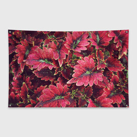 Флаг-баннер с принтом Красные листья в Екатеринбурге, 100% полиэстер | размер 67 х 109 см, плотность ткани — 95 г/м2; по краям флага есть четыре люверса для крепления | алый | красные листья | листопад | листья | осень | пурпурный | растение | текстуры | узор | экзотически растения