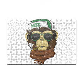 Пазл магнитный 126 элементов с принтом Cool обезьяна в Екатеринбурге, полимерный материал с магнитным слоем | 126 деталей, размер изделия —  180*270 мм | кепка | крутая обезьяна | обезьяна | очки | смешная | шарф