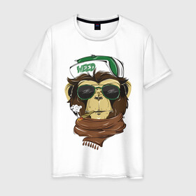Мужская футболка хлопок с принтом Cool обезьяна в Екатеринбурге, 100% хлопок | прямой крой, круглый вырез горловины, длина до линии бедер, слегка спущенное плечо. | кепка | крутая обезьяна | обезьяна | очки | смешная | шарф
