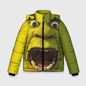 Зимняя куртка для мальчиков 3D с принтом Shrek Шрек в Екатеринбурге, ткань верха — 100% полиэстер; подклад — 100% полиэстер, утеплитель — 100% полиэстер | длина ниже бедра, удлиненная спинка, воротник стойка и отстегивающийся капюшон. Есть боковые карманы с листочкой на кнопках, утяжки по низу изделия и внутренний карман на молнии. 

Предусмотрены светоотражающий принт на спинке, радужный светоотражающий элемент на пуллере молнии и на резинке для утяжки | 20 | 4к | boots | cat | donkey | fiona | green | in | me | meme | memes | once | shrek | somebody | told | в | зеленый | кот | лет | мем | мемы | мульт | мультфильм | огр | огры | осел | сапогах | фиона | шрек