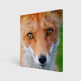 Холст квадратный с принтом Крупно мордочка лисы в Екатеринбурге, 100% ПВХ |  | fox | foxy | животное | звери | лиса | лисенок | лисичка | милая | рыжая | фокс