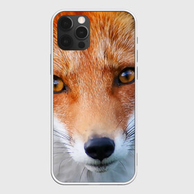 Чехол для iPhone 12 Pro с принтом Крупно мордочка лисы в Екатеринбурге, силикон | область печати: задняя сторона чехла, без боковых панелей | fox | foxy | животное | звери | лиса | лисенок | лисичка | милая | рыжая | фокс