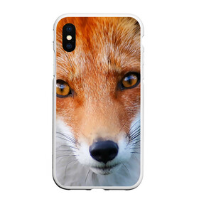 Чехол для iPhone XS Max матовый с принтом Крупно мордочка лисы в Екатеринбурге, Силикон | Область печати: задняя сторона чехла, без боковых панелей | fox | foxy | животное | звери | лиса | лисенок | лисичка | милая | рыжая | фокс