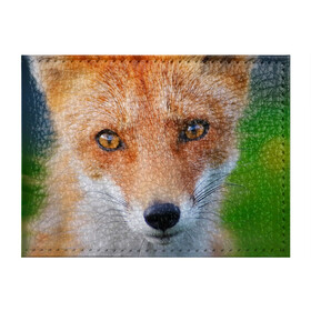 Обложка для студенческого билета с принтом Крупно мордочка лисы в Екатеринбурге, натуральная кожа | Размер: 11*8 см; Печать на всей внешней стороне | fox | foxy | животное | звери | лиса | лисенок | лисичка | милая | рыжая | фокс