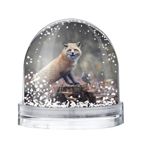 Снежный шар с принтом Лисица и птичка в Екатеринбурге, Пластик | Изображение внутри шара печатается на глянцевой фотобумаге с двух сторон | fox | foxy | животное | звери | лиса | лисенок | лисичка | милая | рыжая | фокс
