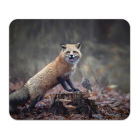 Коврик для мышки прямоугольный с принтом Лисица и птичка в Екатеринбурге, натуральный каучук | размер 230 х 185 мм; запечатка лицевой стороны | fox | foxy | животное | звери | лиса | лисенок | лисичка | милая | рыжая | фокс