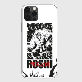 Чехол для iPhone 12 Pro Max с принтом Roshi в Екатеринбурге, Силикон |  | anime | dragon ball | аниме | анимэ | бульма | драгон бал | дрэгон бол | жемчуг дракона | мутаэн роши | сон гоку | сунь укун | улонг | ямча