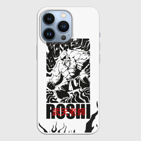 Чехол для iPhone 13 Pro с принтом Roshi в Екатеринбурге,  |  | anime | dragon ball | аниме | анимэ | бульма | драгон бал | дрэгон бол | жемчуг дракона | мутаэн роши | сон гоку | сунь укун | улонг | ямча