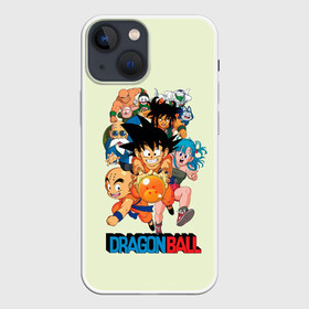 Чехол для iPhone 13 mini с принтом Команда Драконьего яйца в Екатеринбурге,  |  | anime | dragon ball | аниме | анимэ | драгон бал | дрэгон бол | жемчуг дракона