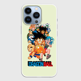 Чехол для iPhone 13 Pro с принтом Команда Драконьего яйца в Екатеринбурге,  |  | anime | dragon ball | аниме | анимэ | драгон бал | дрэгон бол | жемчуг дракона