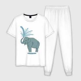 Мужская пижама хлопок с принтом Слониха в Екатеринбурге, 100% хлопок | брюки и футболка прямого кроя, без карманов, на брюках мягкая резинка на поясе и по низу штанин
 | льюис | нарния | нос | слон | слониха | хобот | хроники нарнии