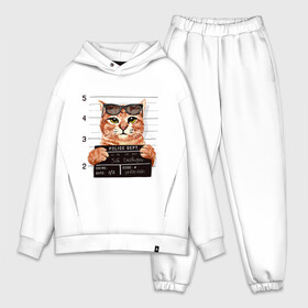Мужской костюм хлопок OVERSIZE с принтом РУТОЙ КОТ В ОЧКАХ ЗАКЛЮЧЕННЫЙ в Екатеринбурге,  |  | cat | cats | cool | cute | funny | kitten | kitty | meow | pet | prisoner | в очках | заключенный | кот | котик | коты | кошка | кошки | милый