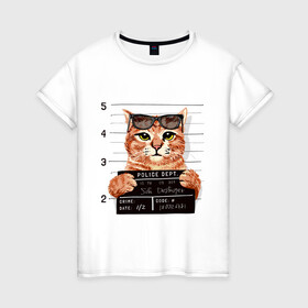 Женская футболка хлопок с принтом РУТОЙ КОТ В ОЧКАХ ЗАКЛЮЧЕННЫЙ в Екатеринбурге, 100% хлопок | прямой крой, круглый вырез горловины, длина до линии бедер, слегка спущенное плечо | cat | cats | cool | cute | funny | kitten | kitty | meow | pet | prisoner | в очках | заключенный | кот | котик | коты | кошка | кошки | милый