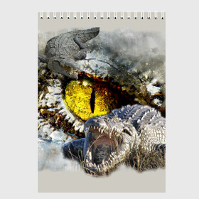 Скетчбук с принтом Глаз крокодила в Екатеринбурге, 100% бумага
 | 48 листов, плотность листов — 100 г/м2, плотность картонной обложки — 250 г/м2. Листы скреплены сверху удобной пружинной спиралью | аллигатор | глаз | крокодил | крокодильчик | ящер