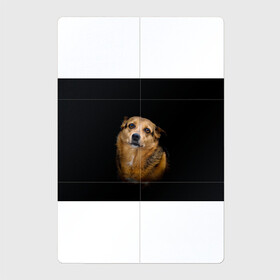 Магнитный плакат 2Х3 с принтом ГРУСТНЫЕ ГЛАЗКИ в Екатеринбурге, Полимерный материал с магнитным слоем | 6 деталей размером 9*9 см | animal | black | dog | photo | глаза | грусть | домашние | животные | звери | пес | пушистый | собакен | собаки | черный