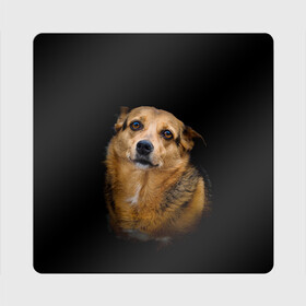 Магнит виниловый Квадрат с принтом ГРУСТНЫЕ ГЛАЗКИ в Екатеринбурге, полимерный материал с магнитным слоем | размер 9*9 см, закругленные углы | animal | black | dog | photo | глаза | грусть | домашние | животные | звери | пес | пушистый | собакен | собаки | черный