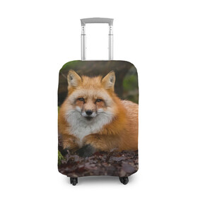 Чехол для чемодана 3D с принтом Взрослый строгий лис в Екатеринбурге, 86% полиэфир, 14% спандекс | двустороннее нанесение принта, прорези для ручек и колес | fox | foxy | животное | звери | лиса | лисенок | лисичка | милая | рыжая | фокс
