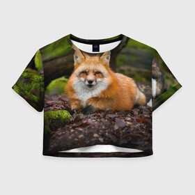 Женская футболка Crop-top 3D с принтом Взрослый строгий лис в Екатеринбурге, 100% полиэстер | круглая горловина, длина футболки до линии талии, рукава с отворотами | fox | foxy | животное | звери | лиса | лисенок | лисичка | милая | рыжая | фокс