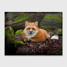 Обложка для студенческого билета с принтом Взрослый строгий лис в Екатеринбурге, натуральная кожа | Размер: 11*8 см; Печать на всей внешней стороне | Тематика изображения на принте: fox | foxy | животное | звери | лиса | лисенок | лисичка | милая | рыжая | фокс
