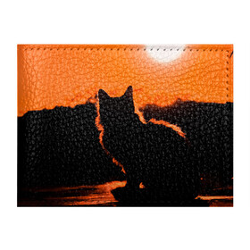 Обложка для студенческого билета с принтом Котенок на фоне заката в Екатеринбурге, натуральная кожа | Размер: 11*8 см; Печать на всей внешней стороне | закат | кот | котенок | кошка | солнце