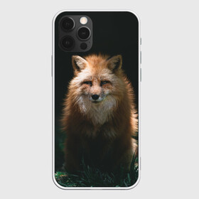 Чехол для iPhone 12 Pro Max с принтом Хитрый Лис в Екатеринбурге, Силикон |  | animals | beast | forest | fox | nature | orange | predator | red | животные | зверь | лес | лис | лиса | лисица | лисичка | природа | рыжая | рыжий | фыр | хитрый | хищник