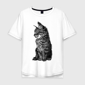 Мужская футболка хлопок Oversize с принтом Котенок в Екатеринбурге, 100% хлопок | свободный крой, круглый ворот, “спинка” длиннее передней части | cat | kitty | кот | котенок | кошка | питомец