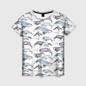 Женская футболка 3D с принтом киты паттерн в Екатеринбурге, 100% полиэфир ( синтетическое хлопкоподобное полотно) | прямой крой, круглый вырез горловины, длина до линии бедер | ocean | sea | sea animal | акварель | графика | касатка | киты | море | океан | рисунок кита